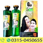 gep-professional-5-min-speedy-hair-color-gel-2-bottle-1000-ml